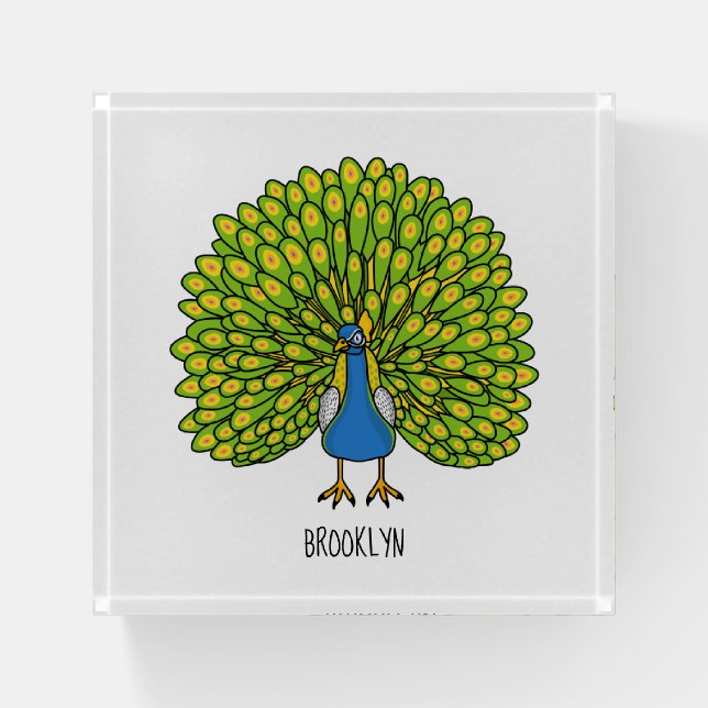 Fun bright peacock bird illustration paperweight (Front)