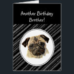 Fun Brother Don't look Sad Birthday Pug Pet Dog<br><div class="desc">Another Birthday card humor for Brother who love Pugs,  Pet Dog  Funny card for those not sure they like birthdays</div>