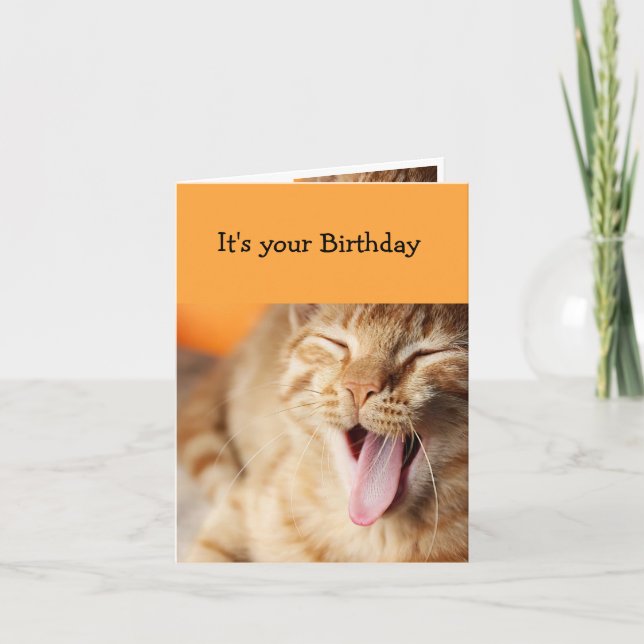 Fun Cake Frosting licking tongue Cat Animal Humor Card (Front)