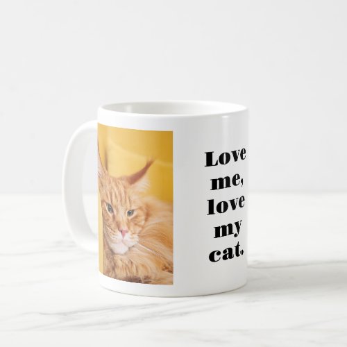 Fun Cat Custom Photo Text Coffee Mug