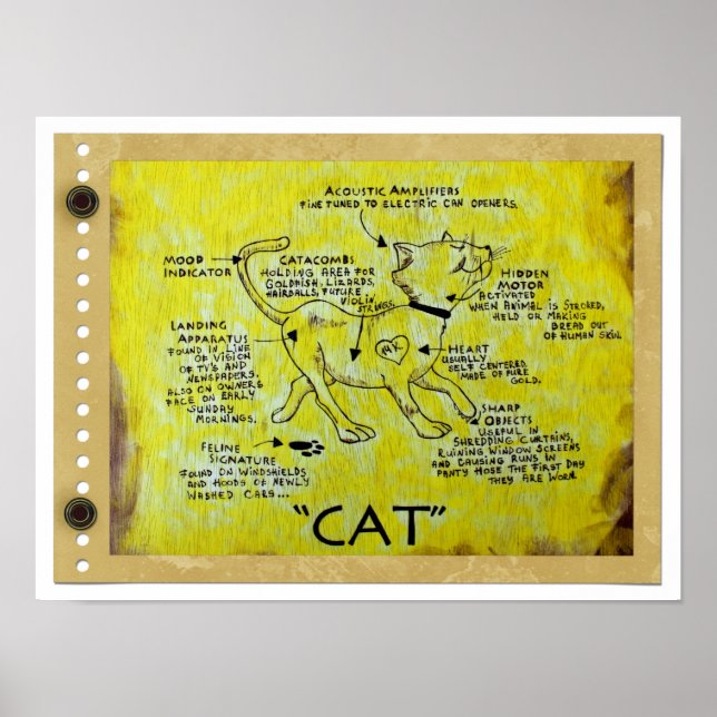 Fun CAT Description Poster! Poster (Front)