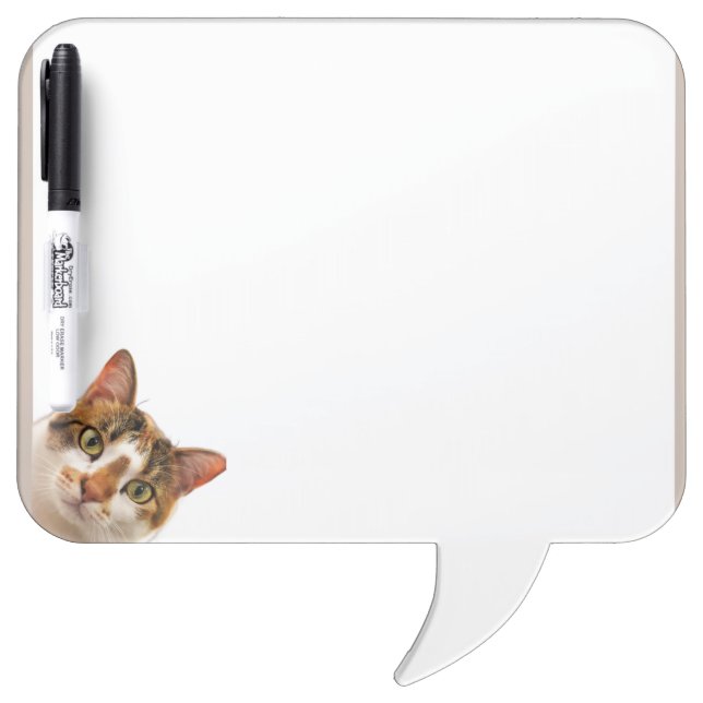 Fun Cat Kitten Looking at You Cute Animal Fun Dry Erase Board (Front)