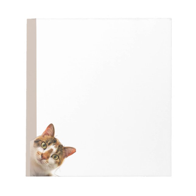 Fun Cat Kitten Looking at You Cute Animal Fun Notepad (Front)