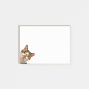 Fun Cat Kitten Looking at You Cute Animal Fun Post-it Notes