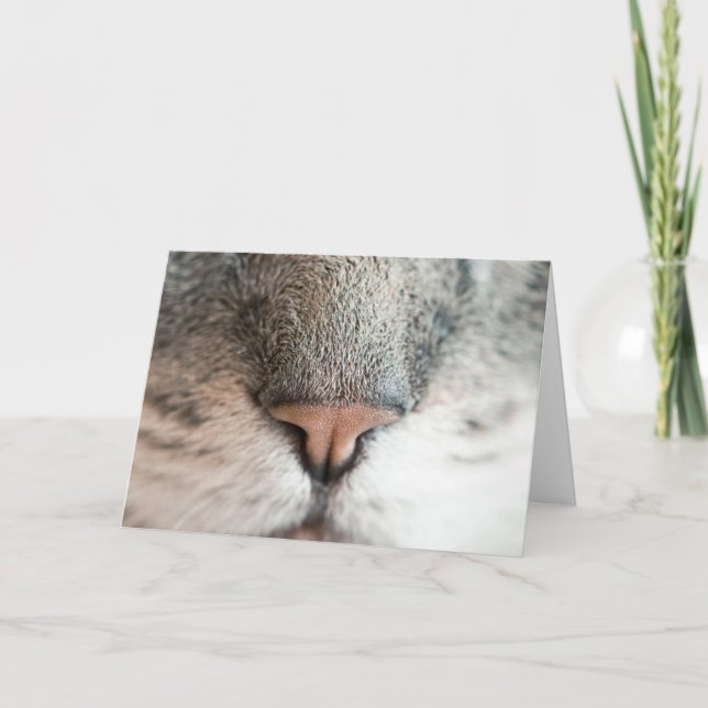 Fun Cat Lover Birthday Pun card (Front)