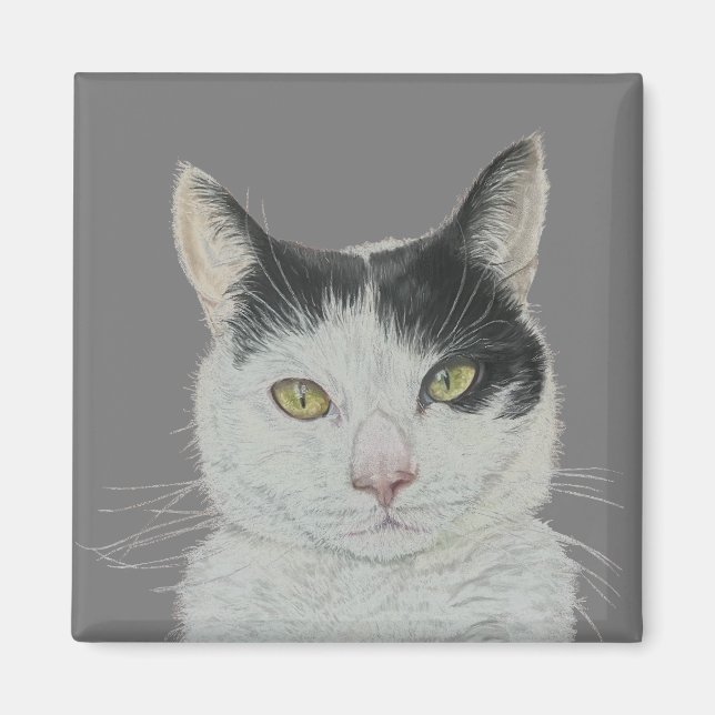 Fun cat magnet (Front)