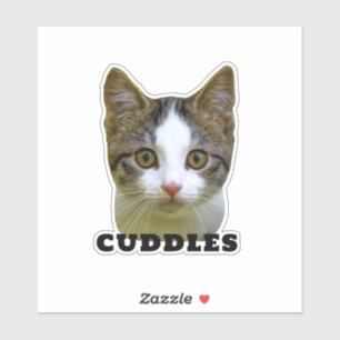 Fun Cat Photo and Name Waterproof Vinyl Pet Sticker