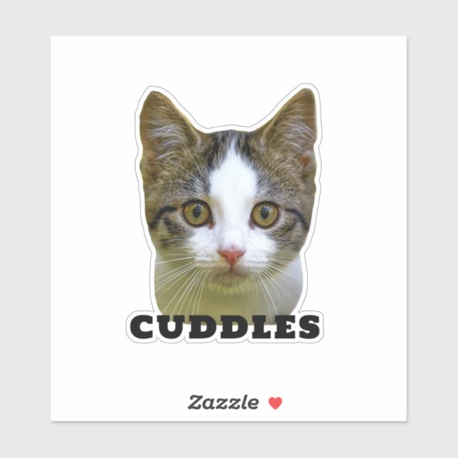 Fun Cat Photo and Name Waterproof Vinyl Pet Sticker (Sheet)