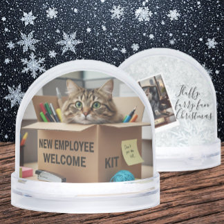 Fun Cats meme Snow Globe, office, HR, Business Snow Globe