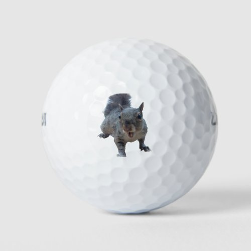 Fun Cheeky Squirrel Golf Balls