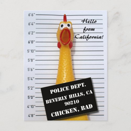 Fun Chicken Beverly Hills Mugshot Postcard Postcard