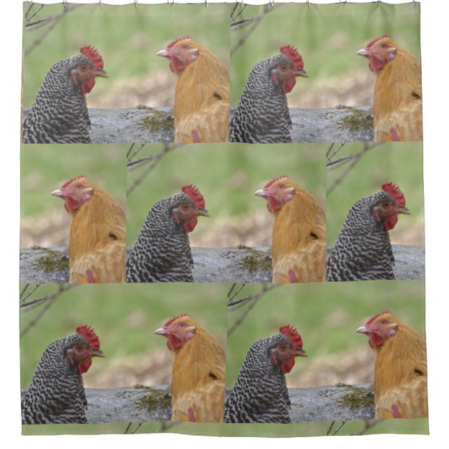 Fun Chicken Shower Curtain (Front)