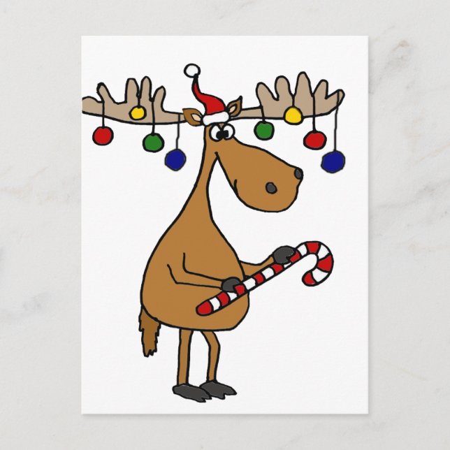 Fun Christmas Moose with Candy Cane and Ornaments Holiday Postcard (Front)