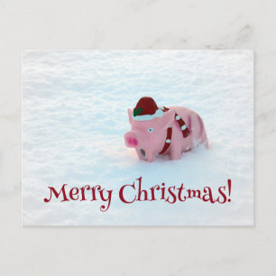 Fun Christmas Pig Postcard! Postcard