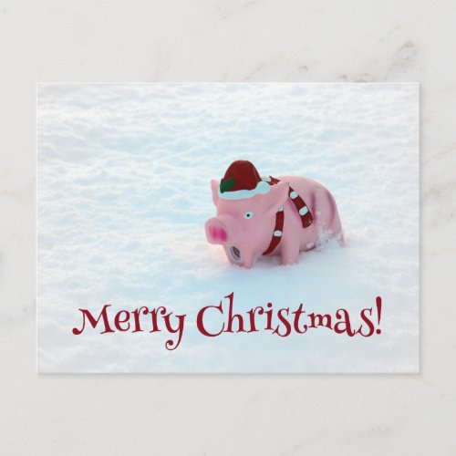 Fun Christmas Pig Postcard Postcard