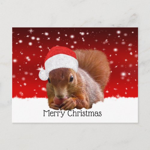 Fun Christmas Squirrel Postcard