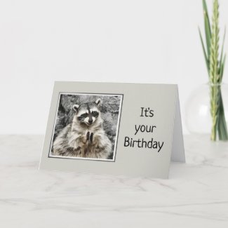 Fun Clapping Raccoon Getting Old Humor Birthday Card