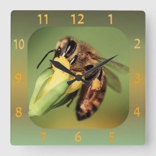 Fun Close-up Bee Pollen Basket On Yellow Flower Square Wall Clock