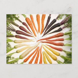 Fun Colorful Carrots Postcard