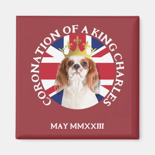 Fun CORONATION Of A King Charles Spaniel Magnet