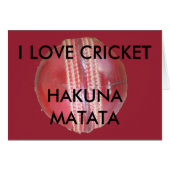 Fun Cricket Ball Design (Front Horizontal)
