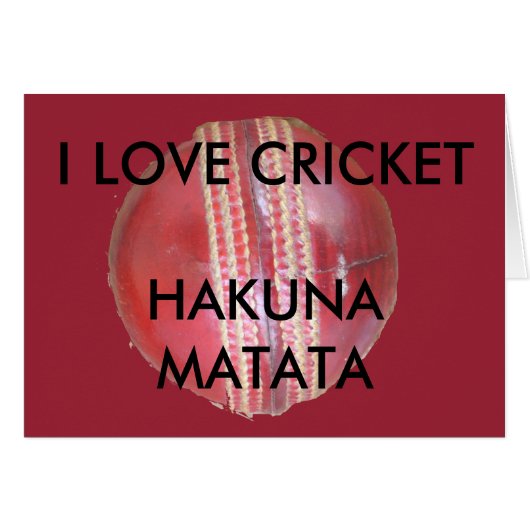 Fun Cricket Ball Design (Front Horizontal)