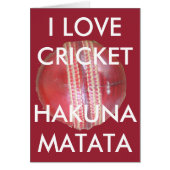 Fun Cricket Ball Design (Front)