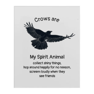 Fun Crows Bird Spirit Animal Humor Quote Totem  Po Acrylic Print