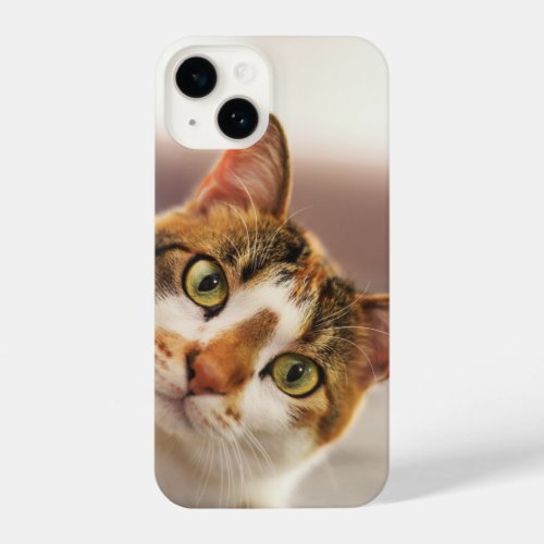 Fun Curious Cat Kitten Pet Animal  iPhone 14 Case