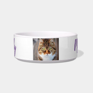 Fun custom add your favorite cat photo and name, bowl