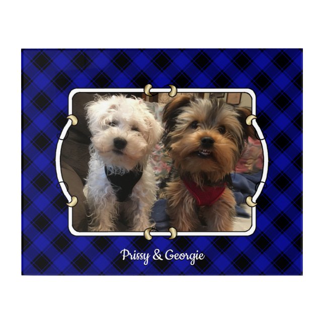 Fun Custom Photo Frame Classic Blue & Black Plaid Acrylic Print (Front)