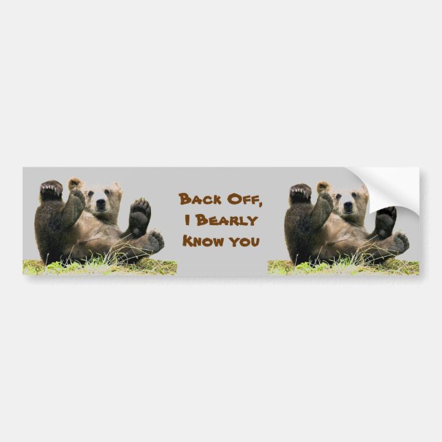 Fun cute bears bumper sticker (Front)