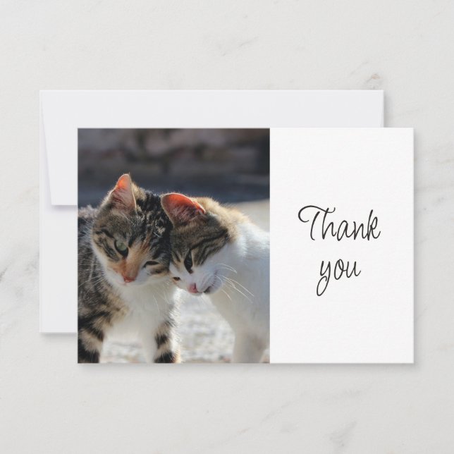 Fun Cute Kittens Cats   Thank You Card (Front)