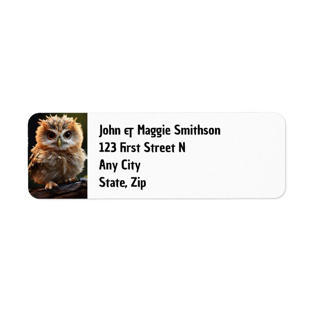 Fun Cute Little Owl Bird Animal Label (Front)