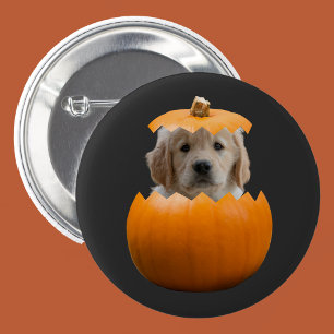 Fun Cute Personalized Halloween Pumpkin Dog Photo Button