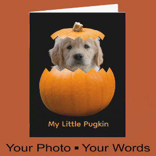 Fun Cute Personalized Halloween Pumpkin Dog Photo Card