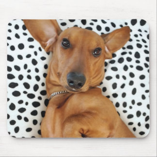 Fun Dachshund Mousepad