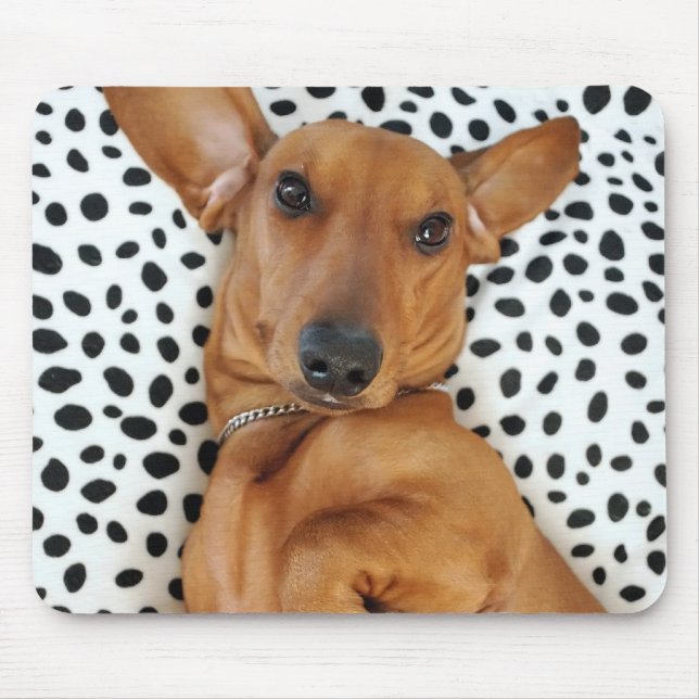 Fun Dachshund Mousepad (Front)