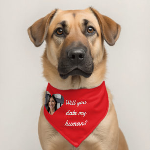 Fun Date proposal Heart Photo Red White Pet Bandana Collar