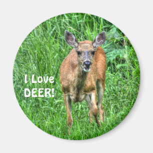 Fun Design for the Kid in All of Us! Magnet