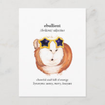 Fun Dictionary Guinea Pig Postcard