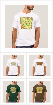 Fun Disco Designs