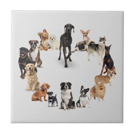 Fun Dog Breed Pet Animals Dog Ceramic Tile