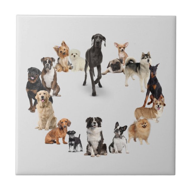 Fun Dog Breed Pet Animals Dog Ceramic Tile (Front)