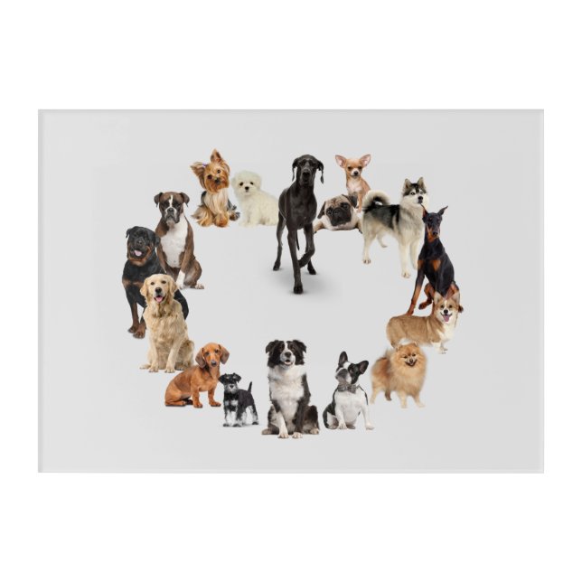 Fun Dog Breed Pet Animals Dog Heart Shape Acrylic Print (Front)