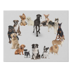 Fun Dog Breed Pet Animals Dog Heart Shape Faux Canvas Print