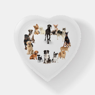 Fun Dog Breed Pet Animals Dog Heart Shape Paperweight