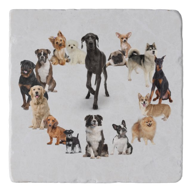 Fun Dog Breed Pet Animals Dog Trivet (Front)