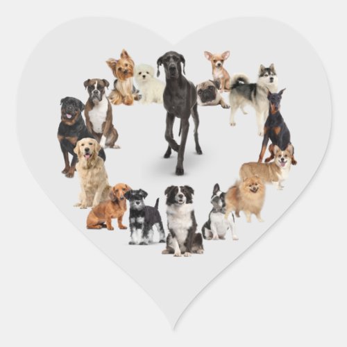 Fun Dog Breed Pet Animals Dog Walking Postcard Heart Sticker