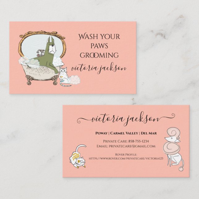 Fun Dog & Cat Pet Care Service Pet Sitting  Business Card (Front/Back)
